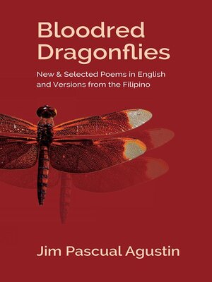 cover image of Agustin